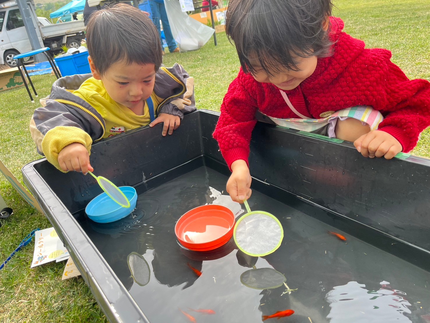 金魚すくい